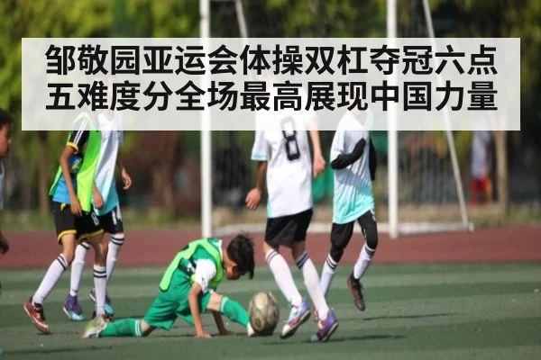 邹敬园亚运会体操双杠夺冠六点五难度分全场最高展现中国力量(kaiyun)